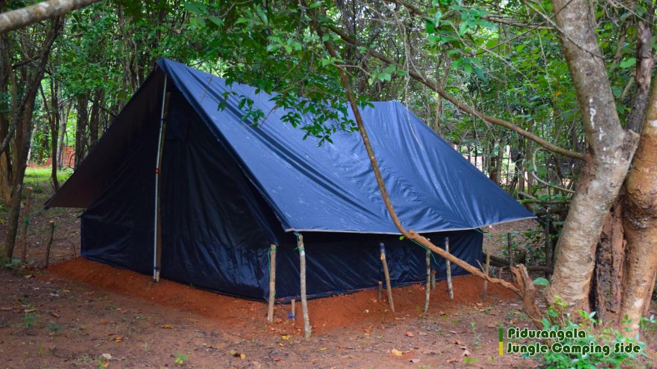 Sigiri Jungle Camping Hotel Sigiriya Eksteriør billede