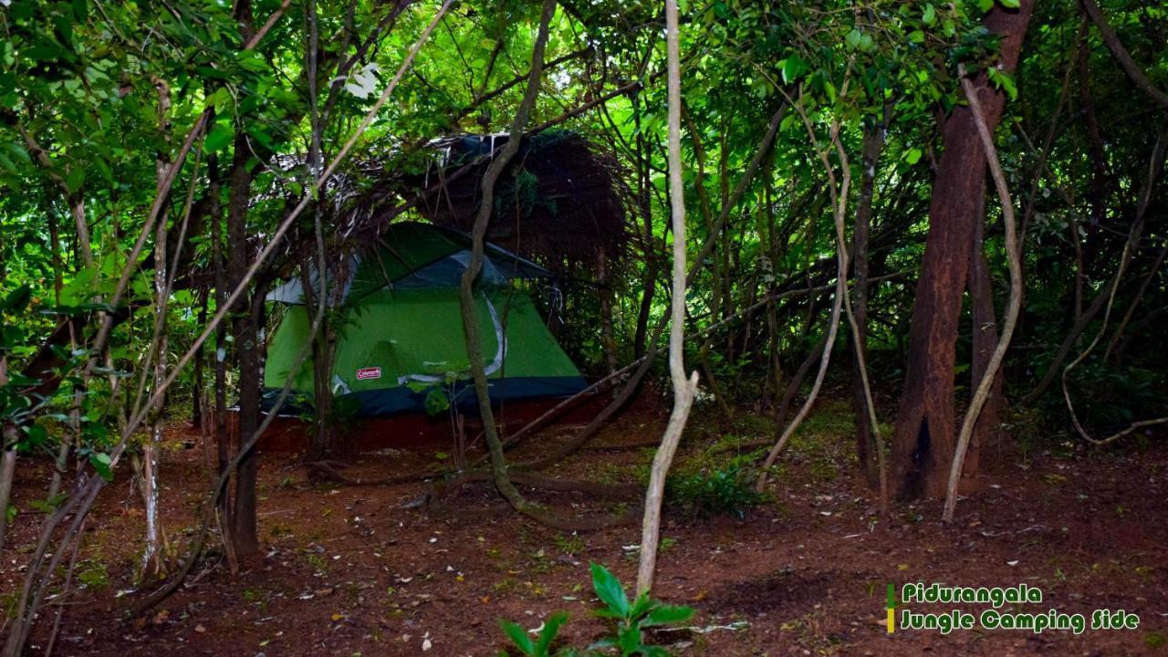 Sigiri Jungle Camping Hotel Sigiriya Eksteriør billede